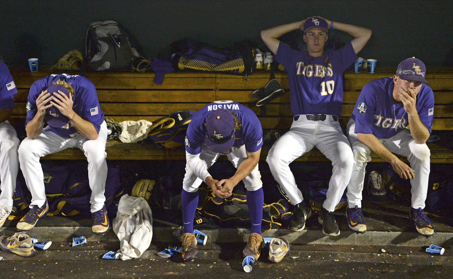 BR.lsuflorida.062817 HS 2802.JPG